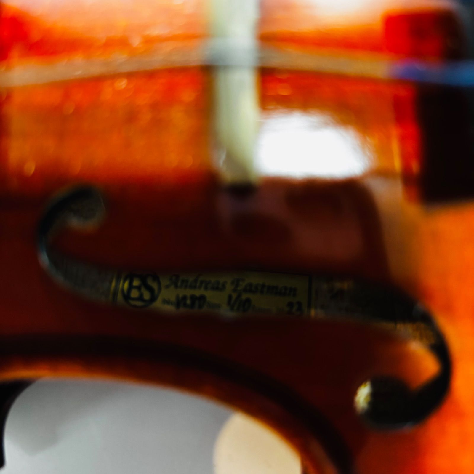 アンド イーストマン VL 80 1 10 Andreas Eastman 弓 S FASTMAN バイオリン