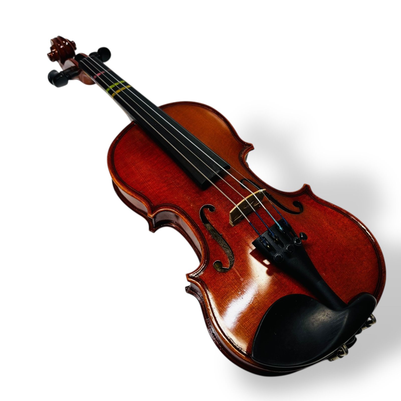 希少】アンドレアイーストマン VL80 1/10 Andreas Eastman 2023年 弓 S