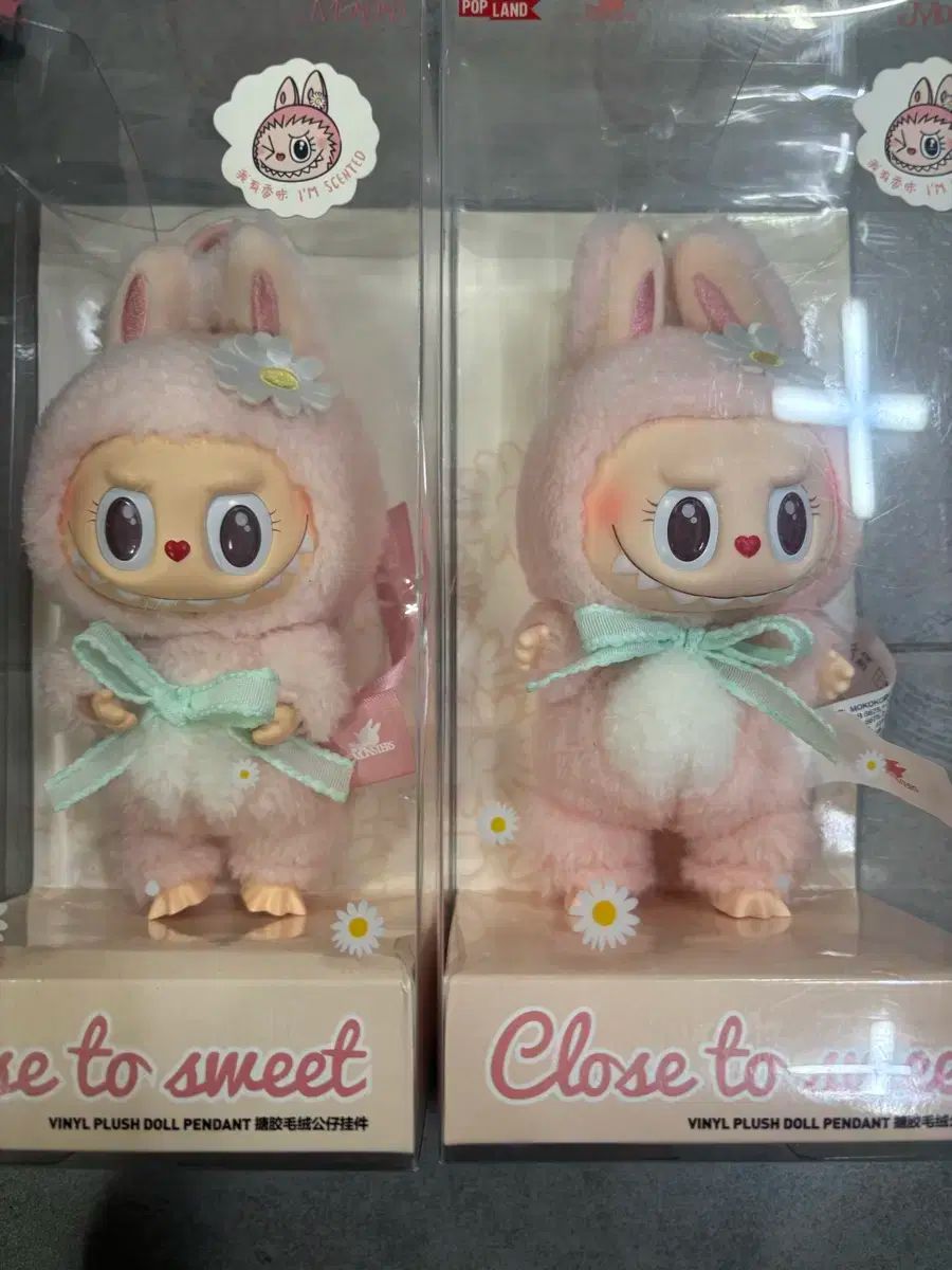 ラブブ ウール九井 一 ボックス破損