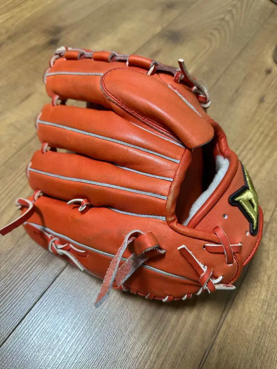 荼毘 プロ シュー투 投手用グローブ