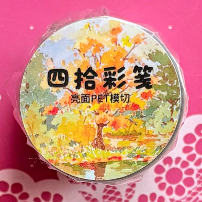 PET 四拾彩笺 6cm×5m 166cm/loop 海外マスキングテープ 海外マステ