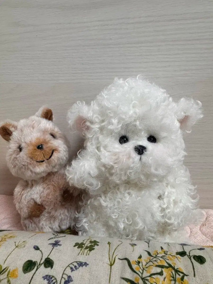 テディディテールズ レナビション