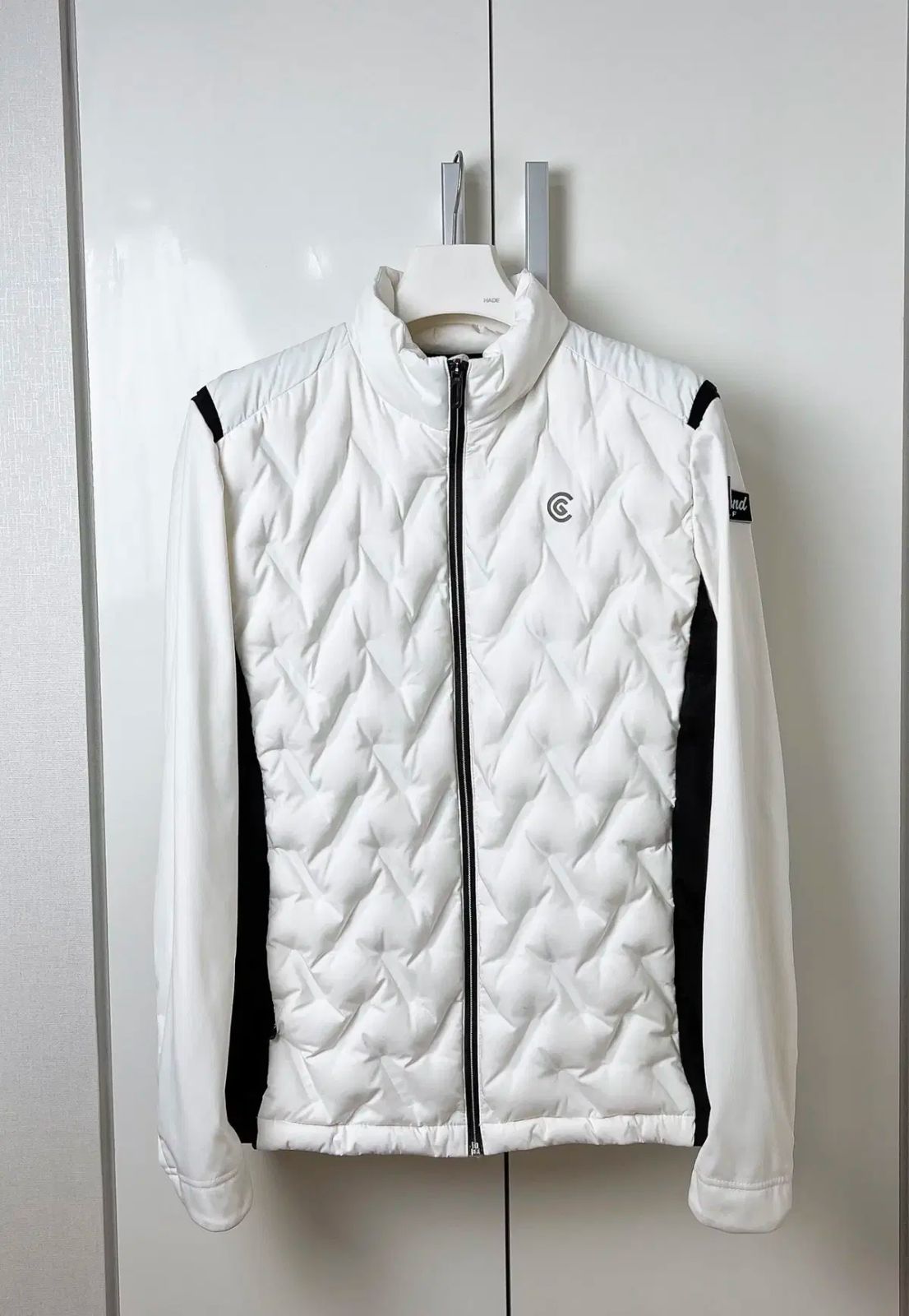 クリーブランド グースダウン 軽量 ダウン 100