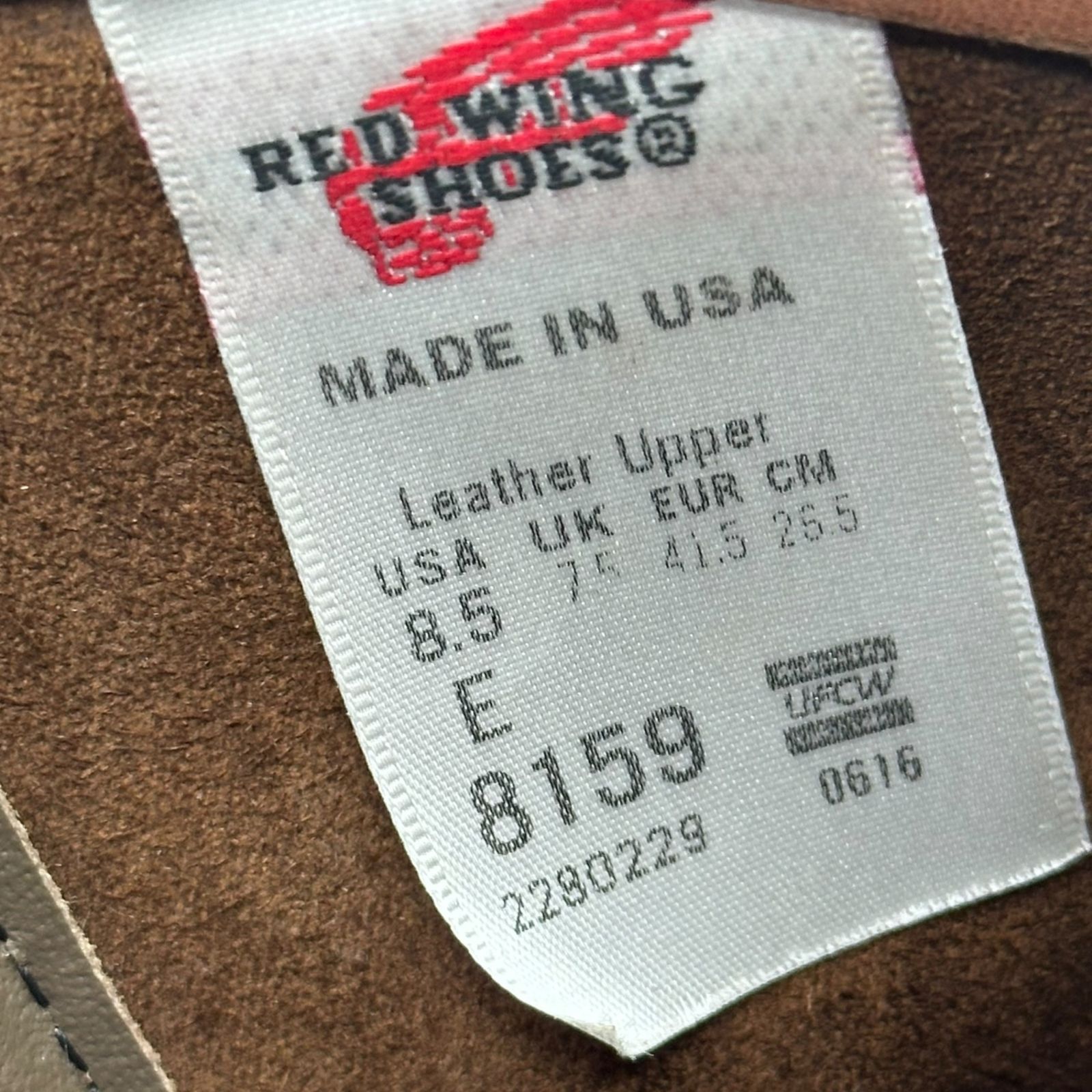 cm程度 ブラウン