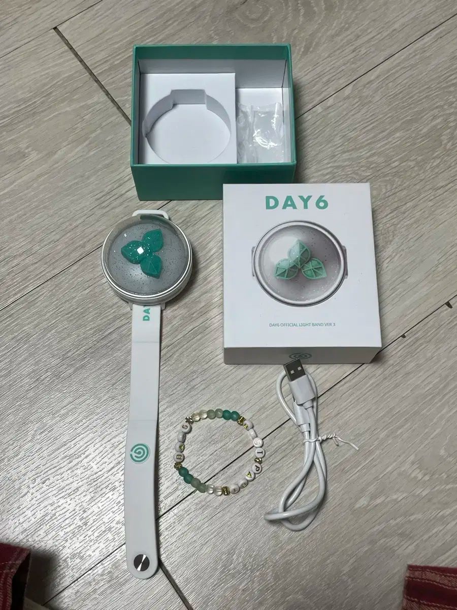 Day6公式ライトバンド ver3