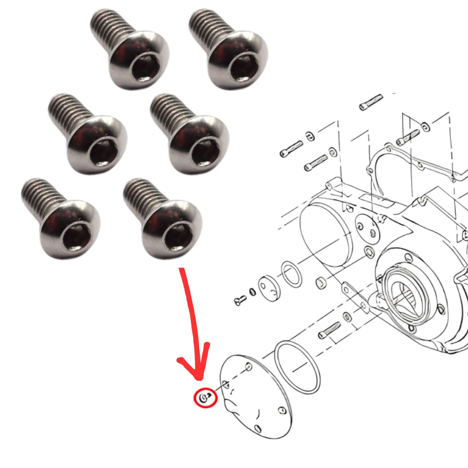 ハーレーダビッドソン プライマリー カバー ダービー インスペクション