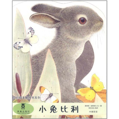 An Adventure with Billy Bunny Peek and Find Pgw