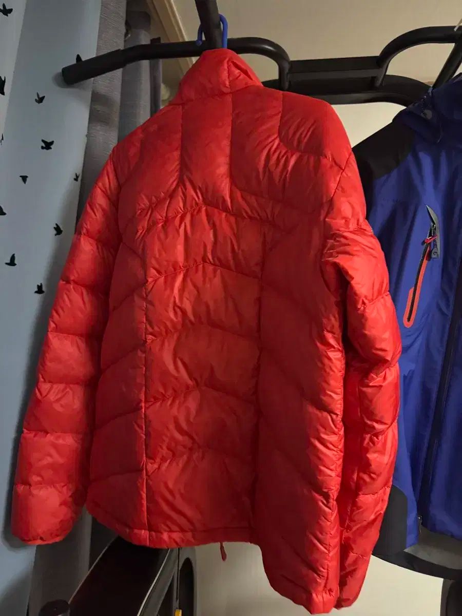 NEPA ネパ ウィンドブレーカー 軽量ダウン OLIVEOS_COM_TR