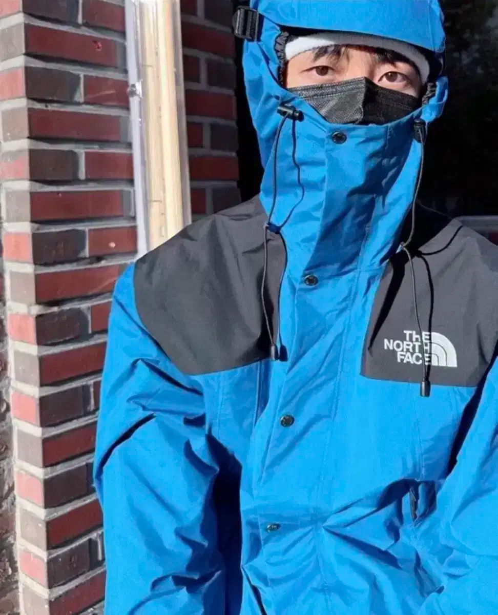THE NORTH FACE 1990 GORE-TEX マウンテン ジャケット Lサイズ ブラック チュウジェ 風が