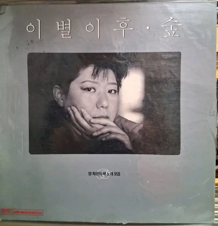 ヤン ヒウン LP 87 初年度 別れた後