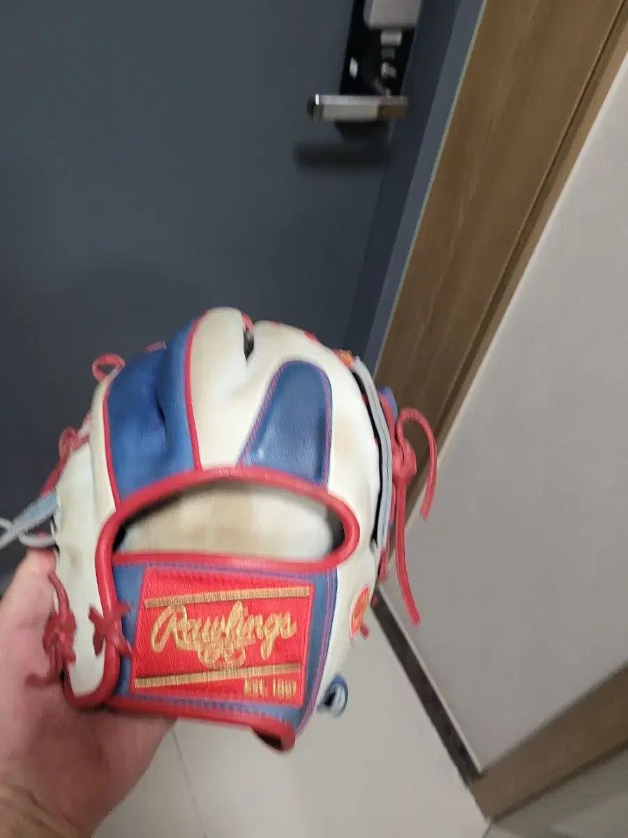 Rawlings ローリングス 内野 グローブ