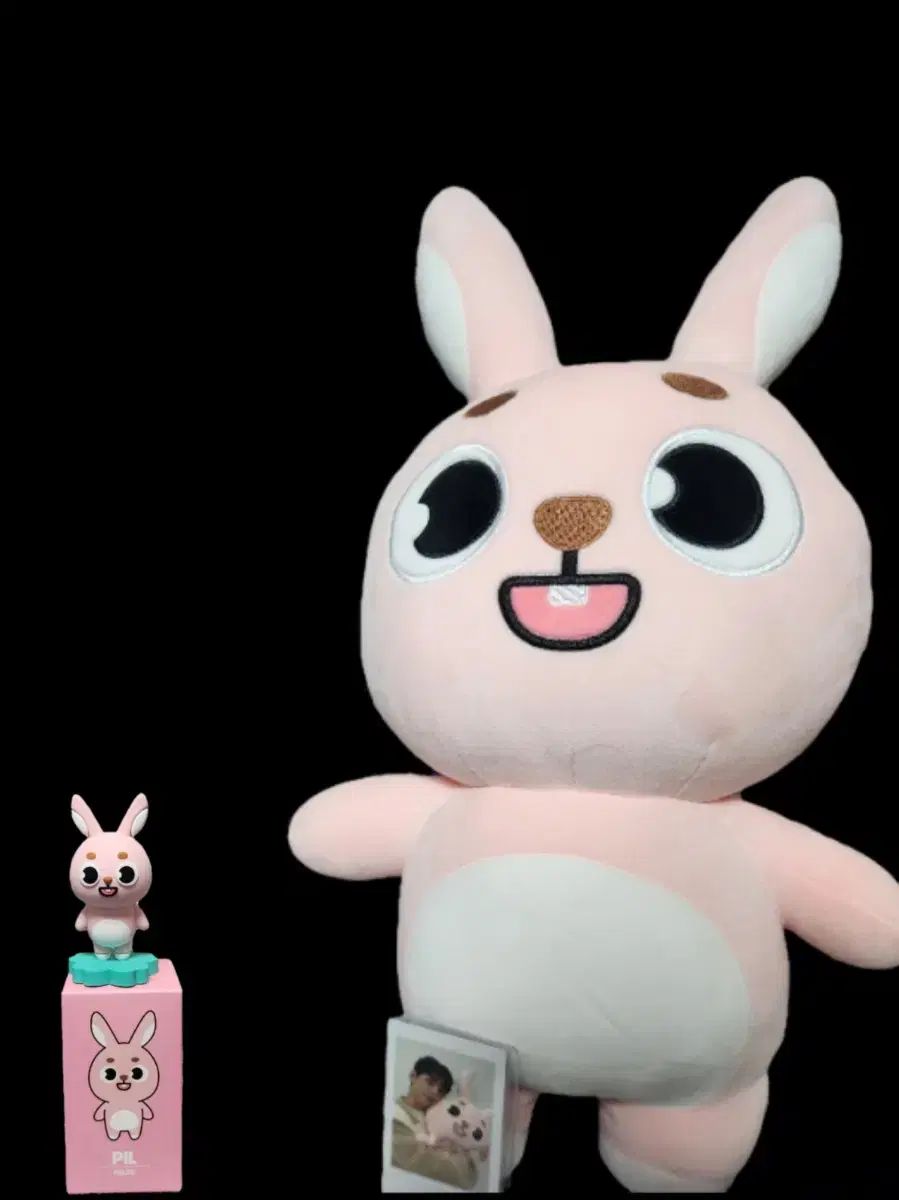 DAY6 ジャイアント デメル フィル タートルネック含む デメル フィギュア フィル