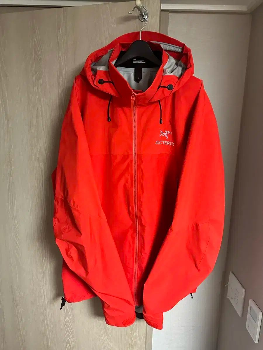 ARC TERYX アークテリクス ベータ AR ジャケット L