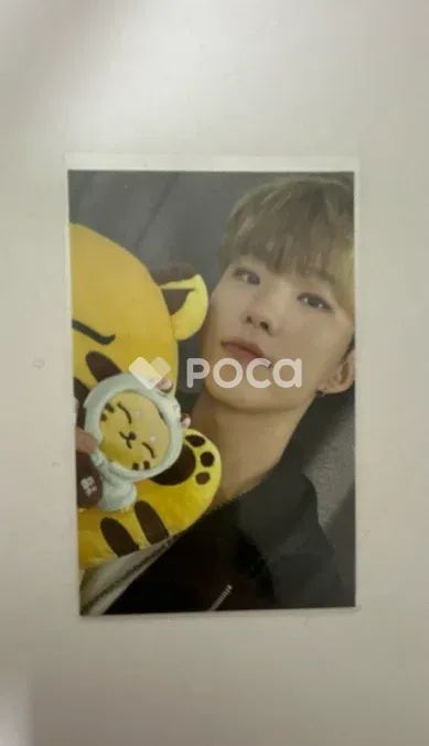 セブチ ホシ Artist-Made Collection by SEVENTEEN Season 2. PLUSH