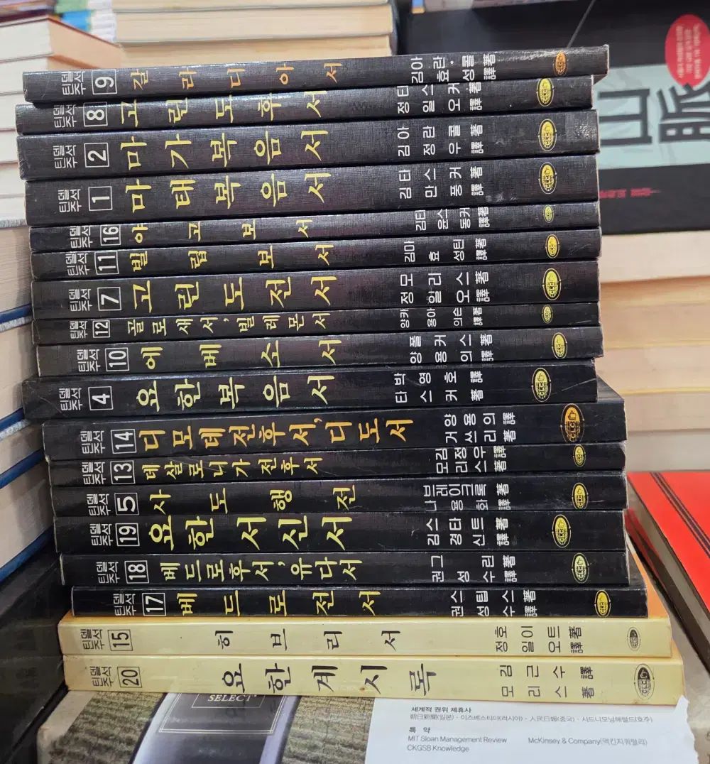 ティンデル注釈シリーズ 基督教文書宣教会 18巻 構成参照 セット 宗教 本