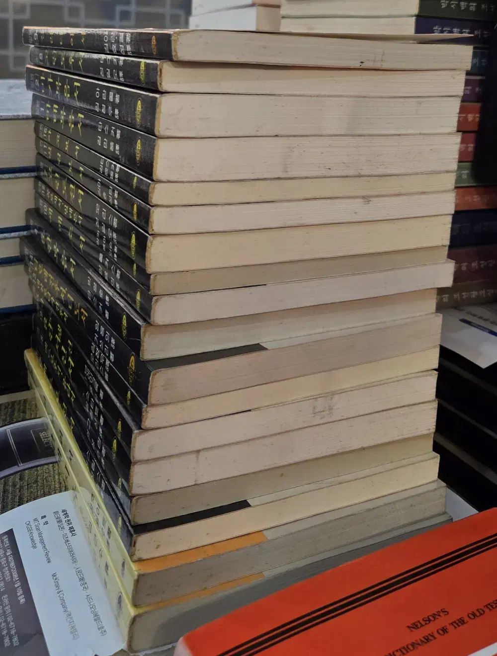 ティンデル注釈シリーズ 基督教文書宣教会 18巻 構成参照 セット 宗教 本