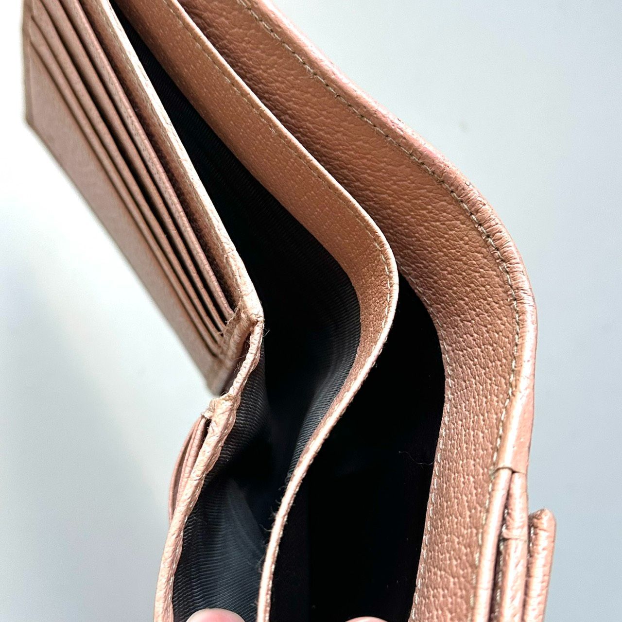 グッチシマ キャンバス