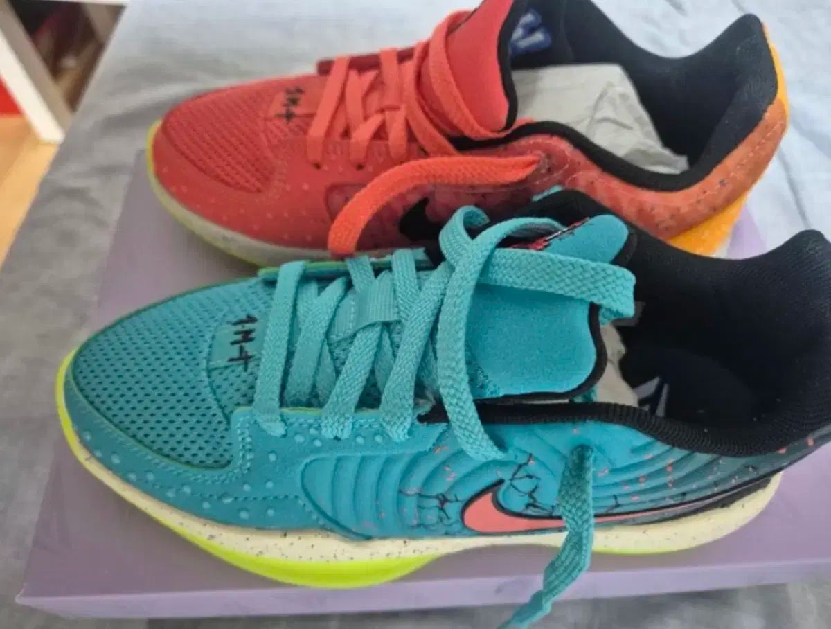 【ネット限定】 ナイキ Zion 2 バスケシューズ