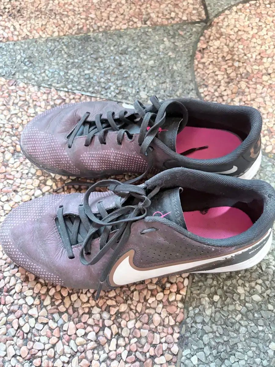 ティエンポ アカデミー TF 270