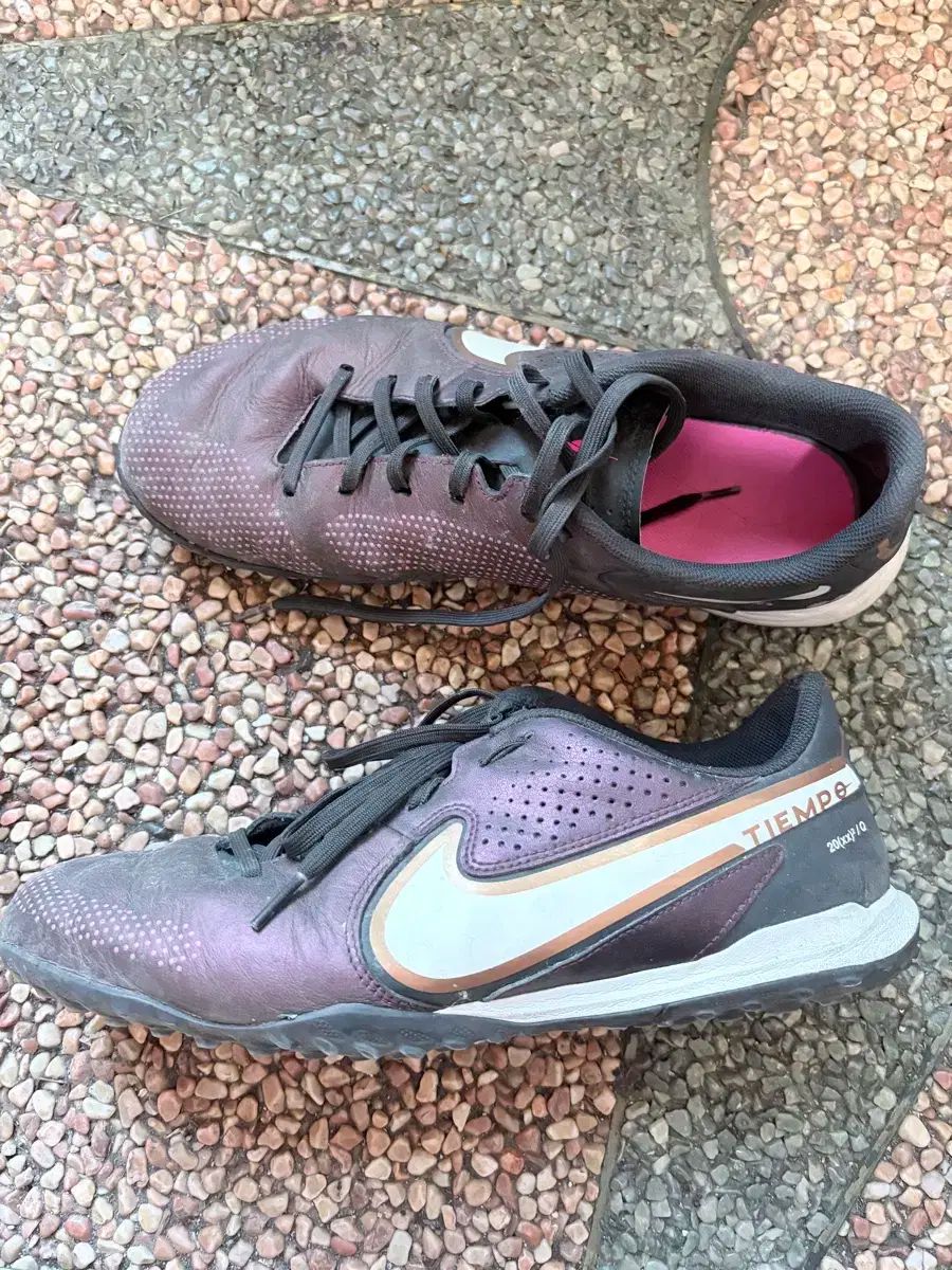 ティエンポ アカデミー TF 270