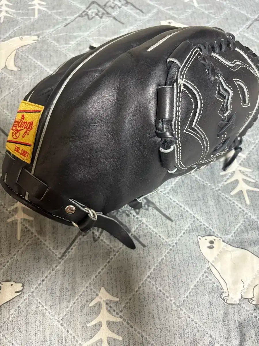 ローリングス Prefered 投手