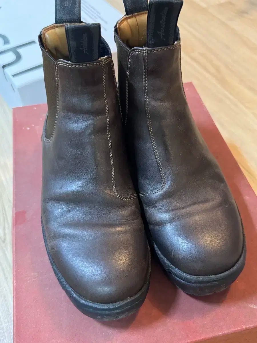 grds チェルシー02 250 レディース