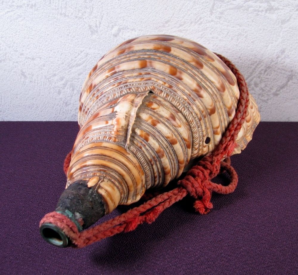 時代 法螺貝 ホラガイ 幅：31.5cm 和楽器 山伏道具/25b017 - メルカリ