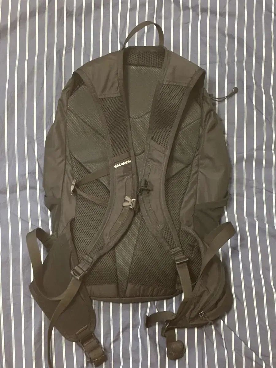 SALOMON サロモン トレイル ブレーザー 20 ブラック