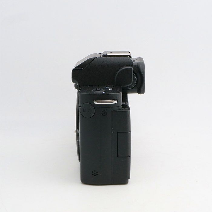 パナソニック Panasonic DC-G100V