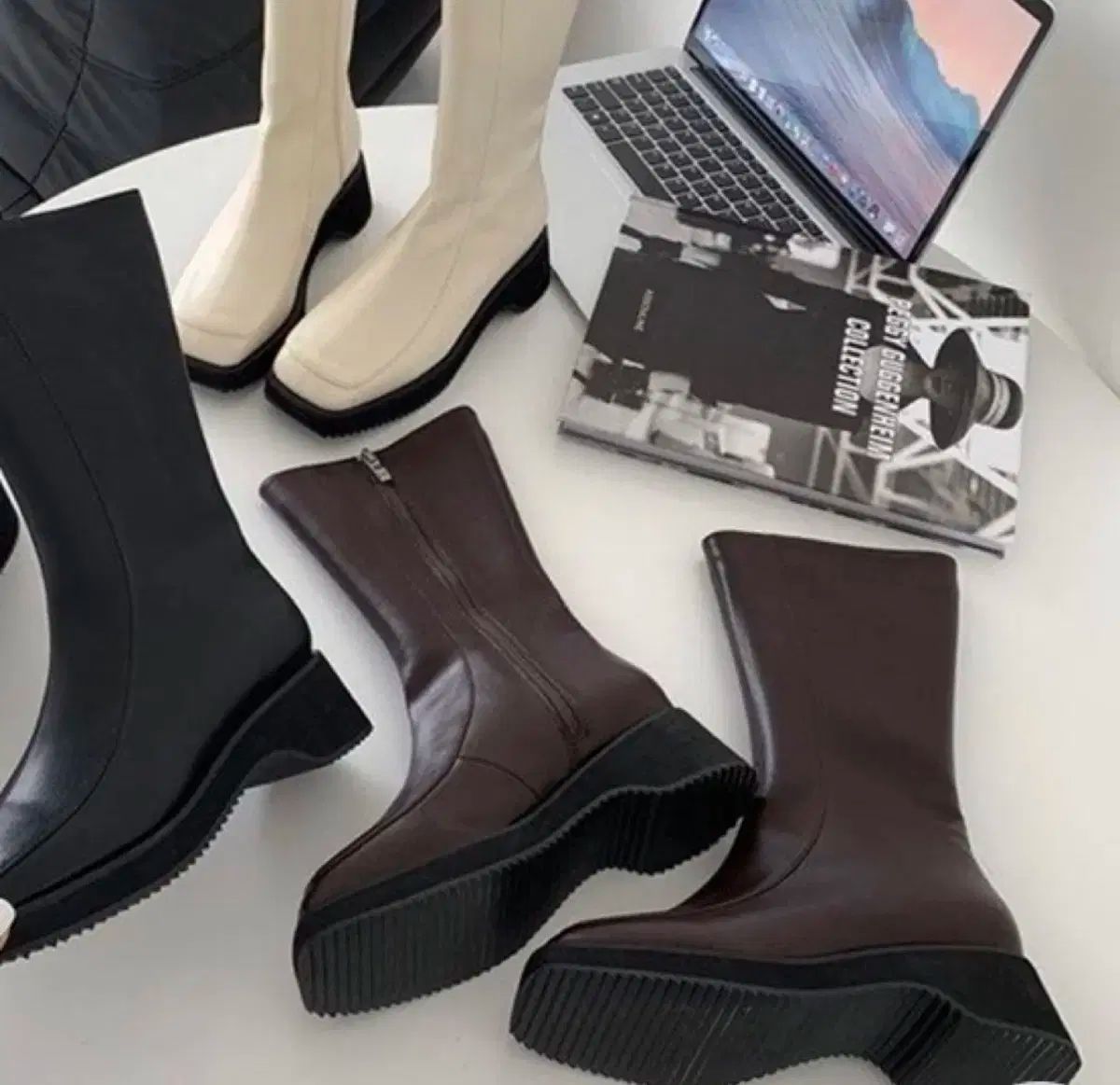 A*1様 一番くじ　劇場版チェンソーマン　-レゼ篇- A賞 おまけ付き 厳選株】アンスリウム papi legend twilight x Red Spider