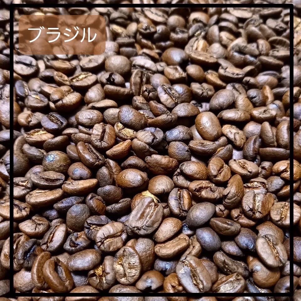 ブラジル🇧🇷 ドルチェチョコラーダ 自家焙煎珈琲豆 中煎り 100g