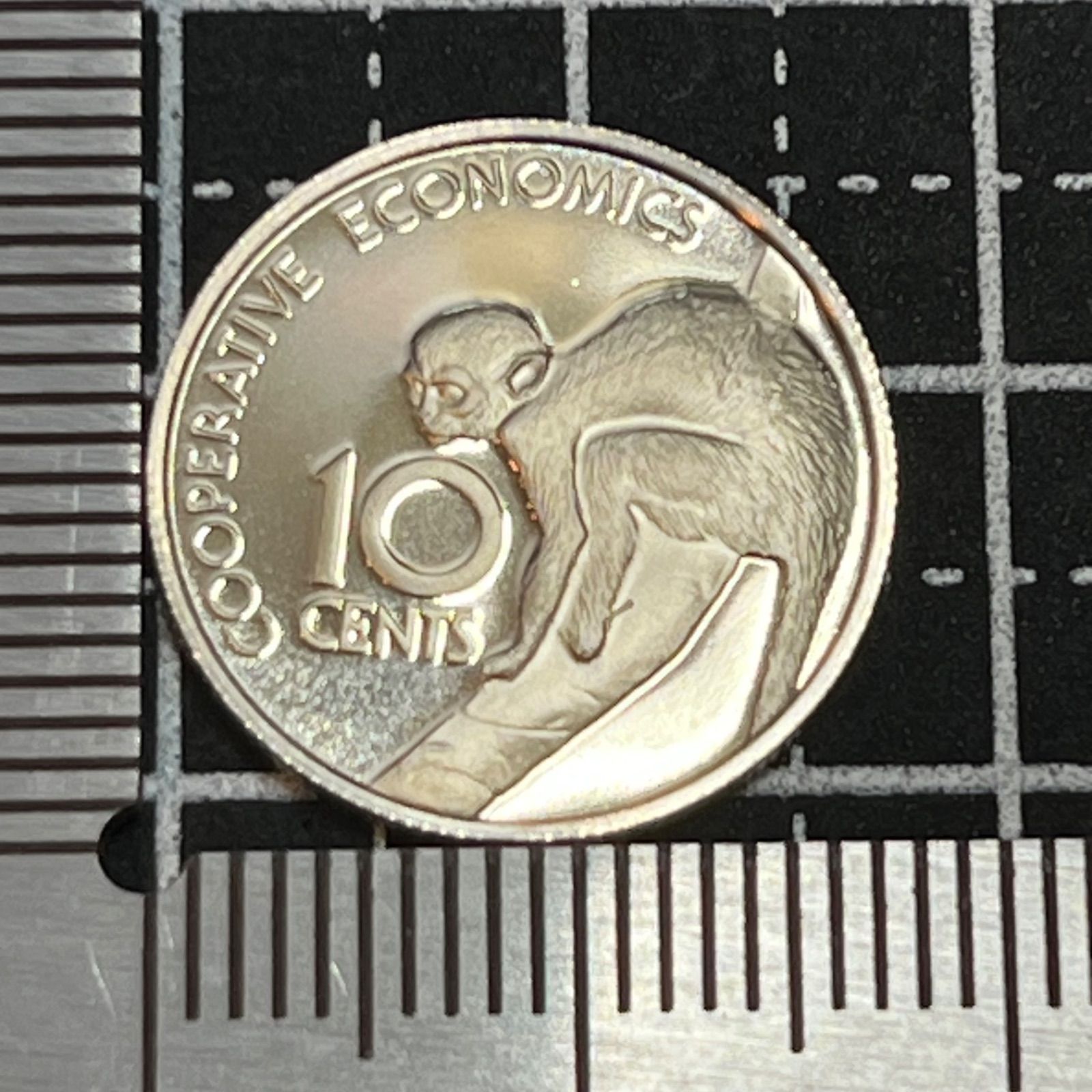 ガイアナ 10セント 1976年 プルーフ未使用／サル図案 COOPERATIVE