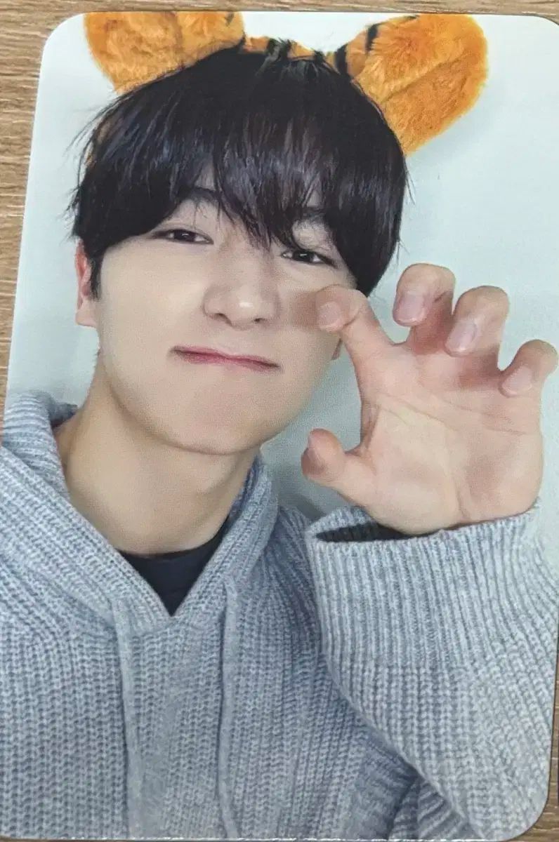 THE BOYZ ザ ボーイズ ドボイズ タイガー 公開番組 サノク トレカ