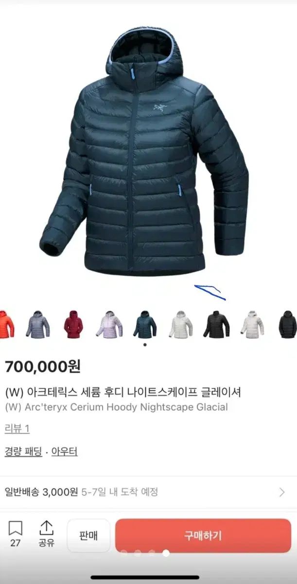  ARC TERYX Cerium アークテリクス セリウム フーディ ダウン L NIGHTSCAPE その他 アウター