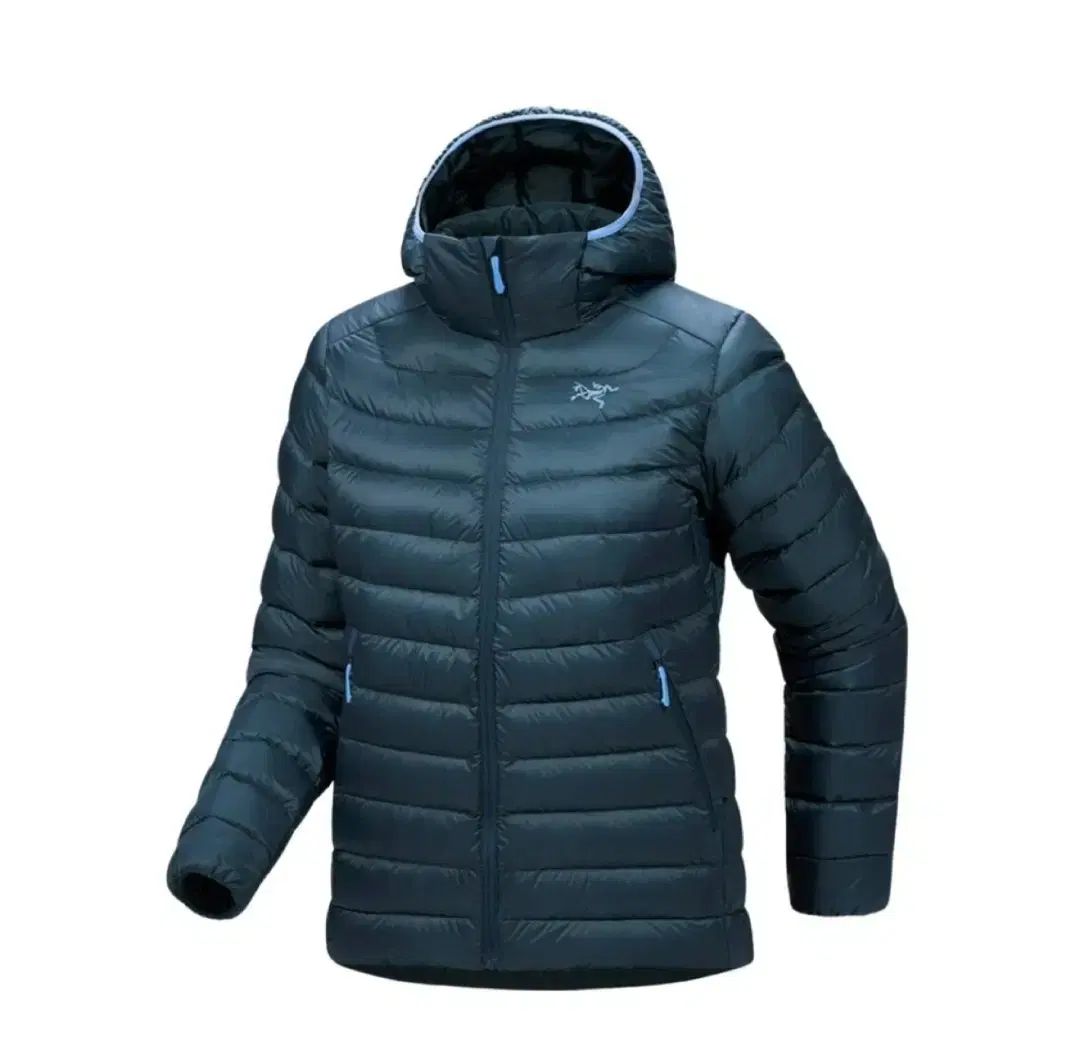 ARC TERYX Cerium アークテリクス セリウム フーディ ダウン L NIGHTSCAPE-