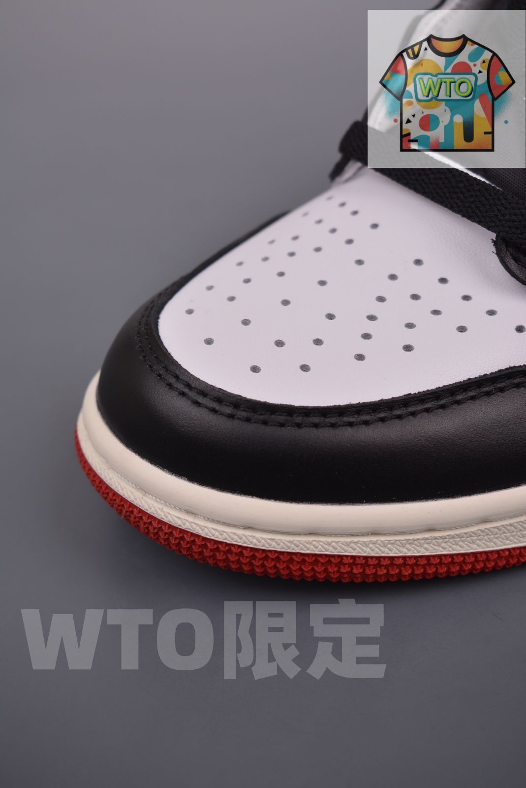 DZ5485-106-WTO輸入2