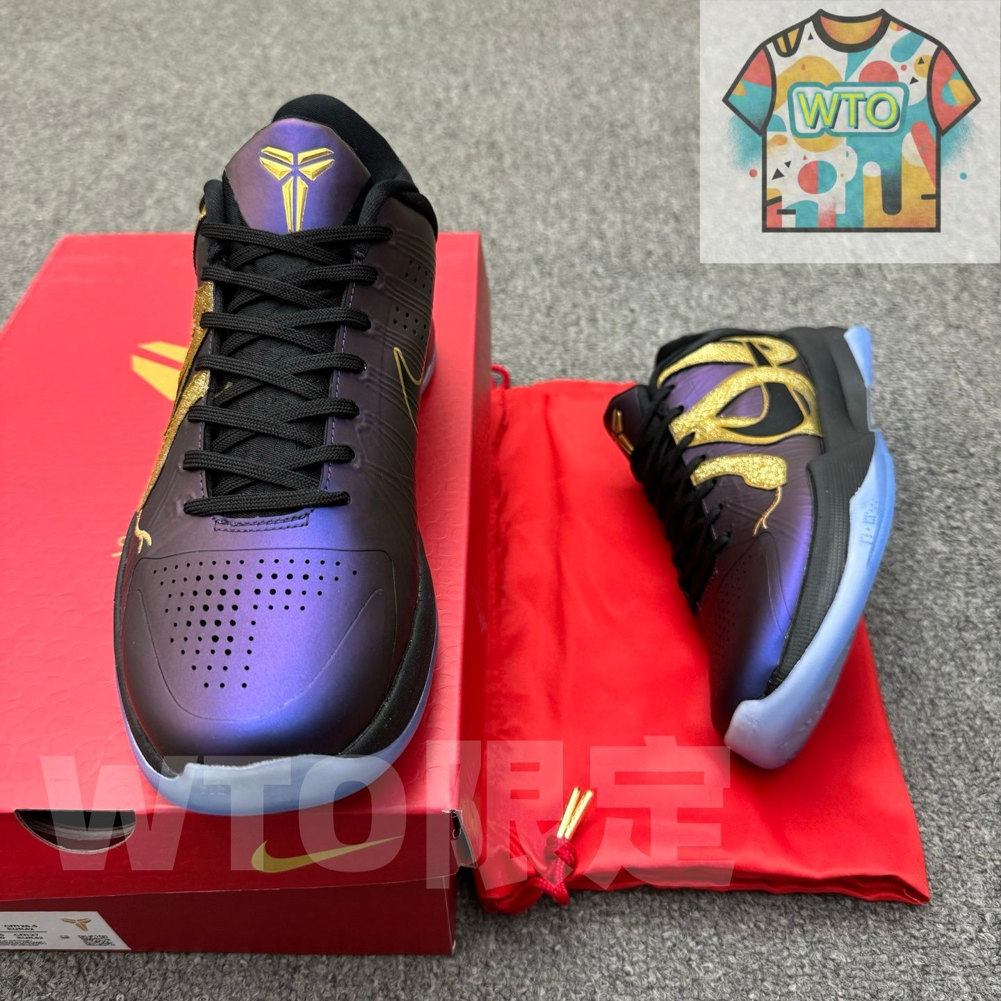 プロトロ イヤーオブザマンバ