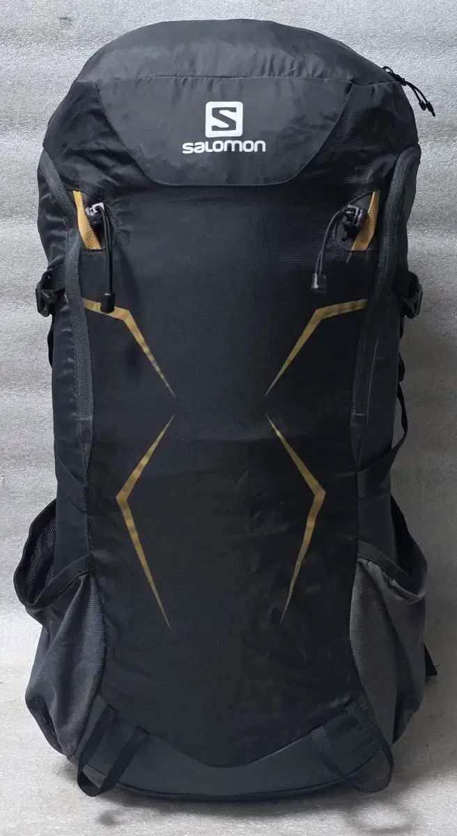 SALOMON サロモン HORNET 38 軽量 登山リュック 旅行キャンピング バックパック