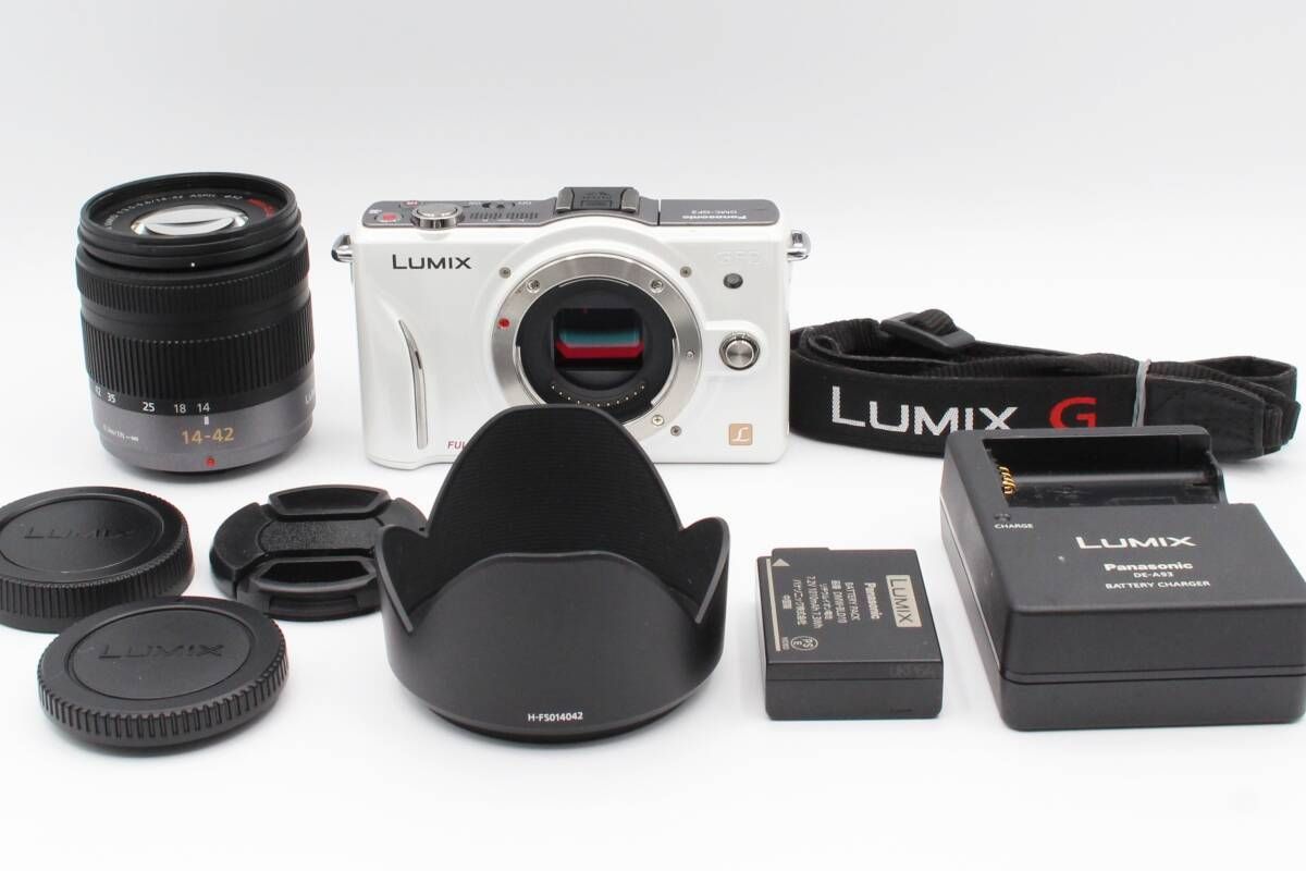 上品 パナソニック Panasonic ルミックス LUMIX DMC-GF2 G VARIO 14-42mm F3.5-5.6 ASPH. ♯389