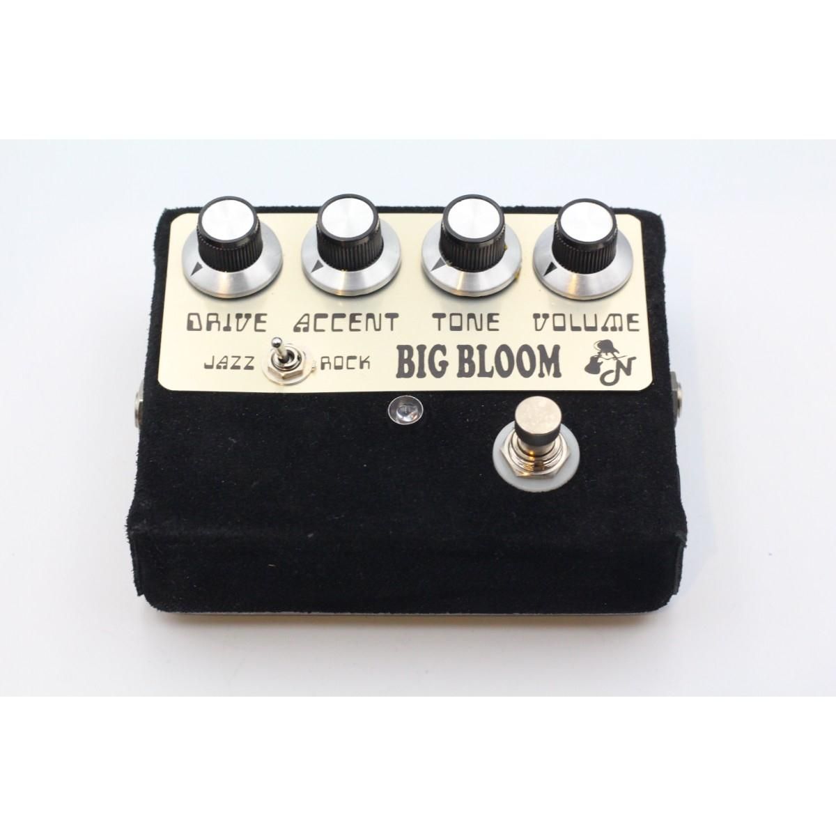 Ａｍｐｌｉｆｉｅｄ Ｎａｔｉｏｎ ＢＩＧ ＢＬＯＯＭ