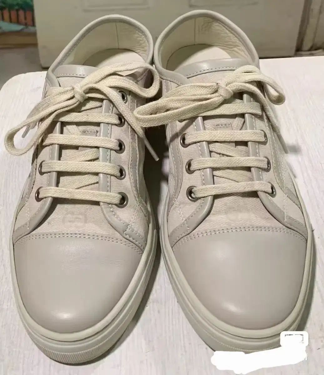 グッチ アイボリー レディーススニーカー 36 5