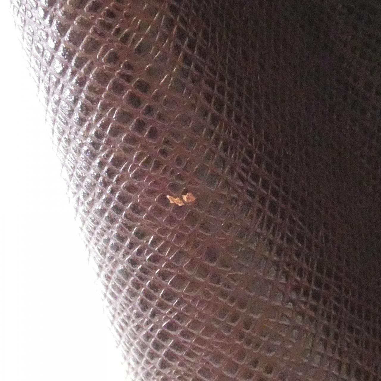 タイガ カシアー