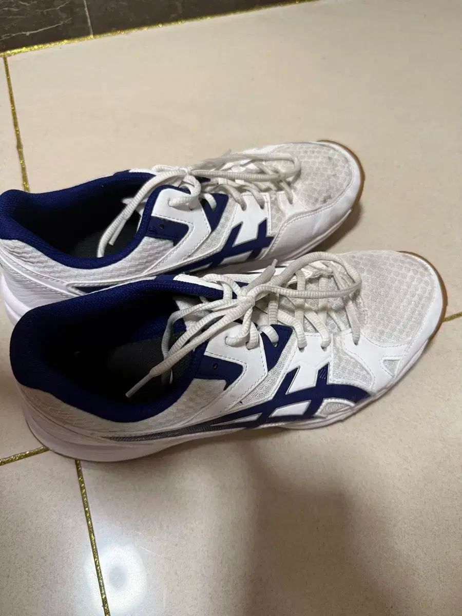 アシックス リー브レ cf 体大入試靴 265