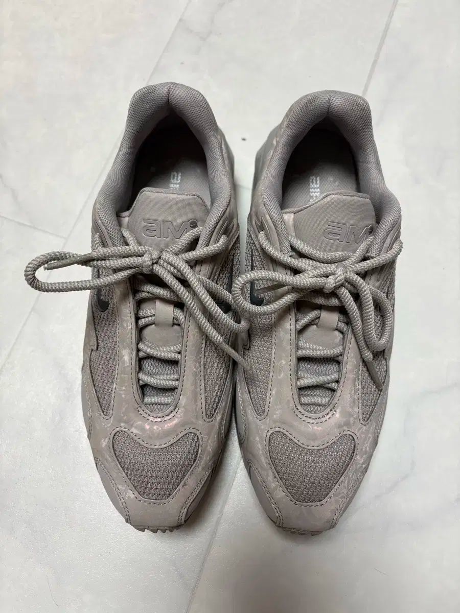 W ナイキ エアマックス ミューズ カレッジ グレー 245