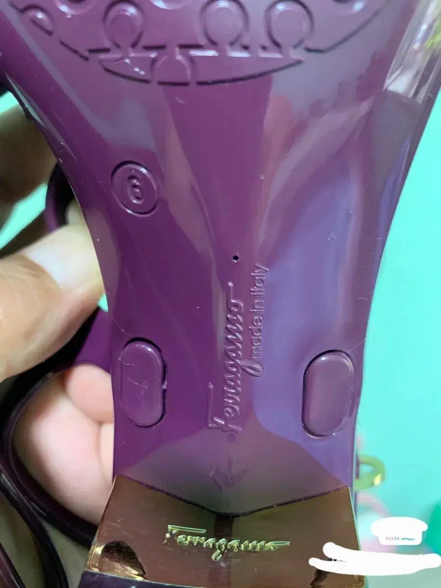 バーガンディ 6