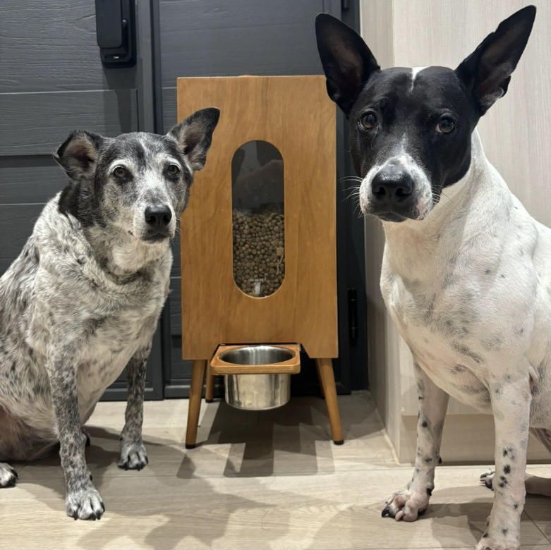 木製ペットフード投げ器大容量猫犬共通防湿健康は20斤のペット用貯谷桶を入れることができる-木色