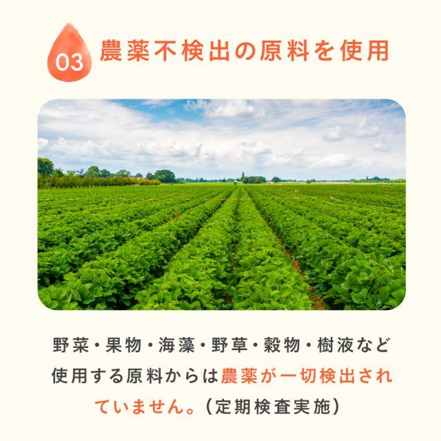 ダイエット プチ断食