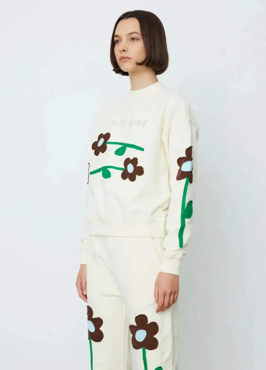 サンディーリアン トレーナー セットアップ