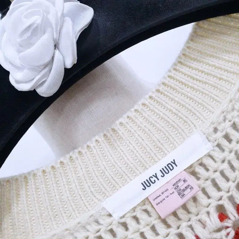 ジュシジュディ