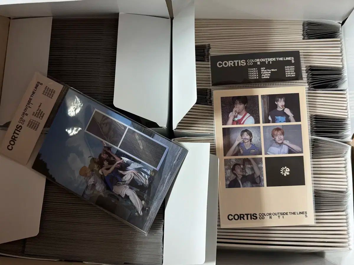 現物コルティスワーバス アルバム8セット